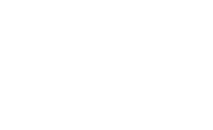 International Air Transport Association