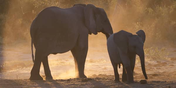 Botswana