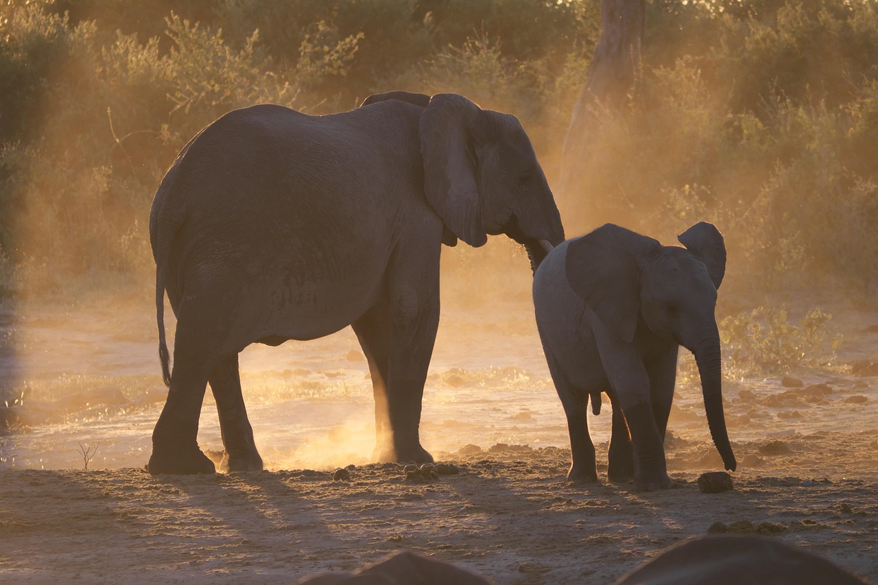 Botswana