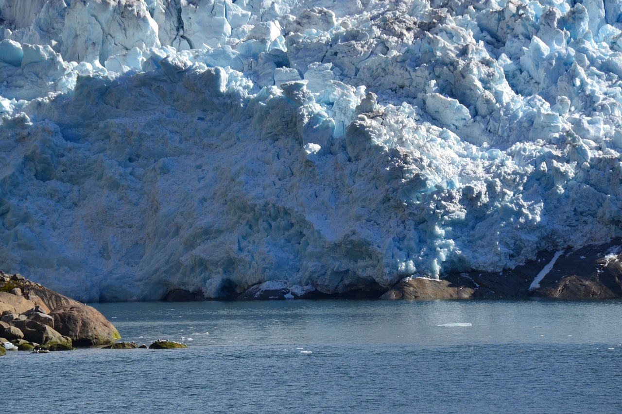 Arctic